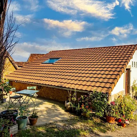 Du Roy Chassaignas Nyaraló *